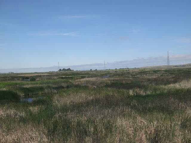 Someone in the wetland