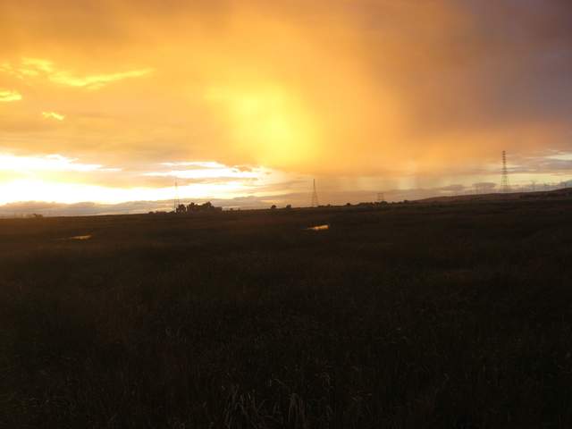 Nice sunset
