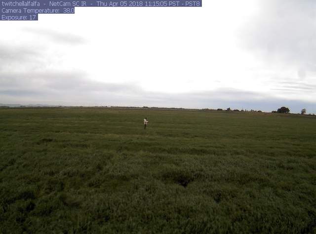Elke in the field