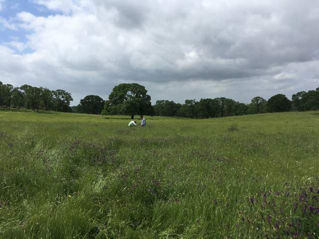Kuno and Camilo sampling soils at Vaira.