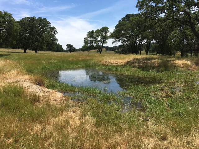 Watering hole at Vaira. Grass is starting to turn brown.