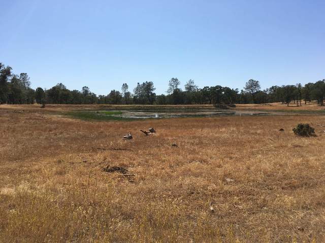 Tonzi pond still has some water