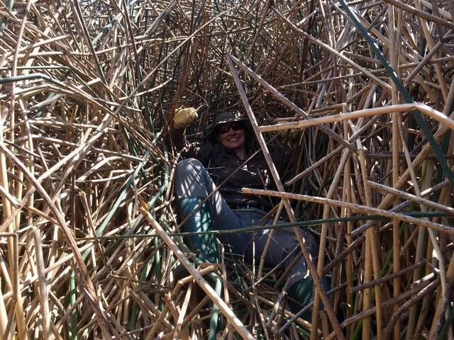 Alex working hard while the group is taking soil cores