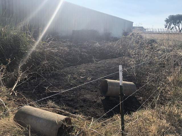 Burned area near the barn at SB.