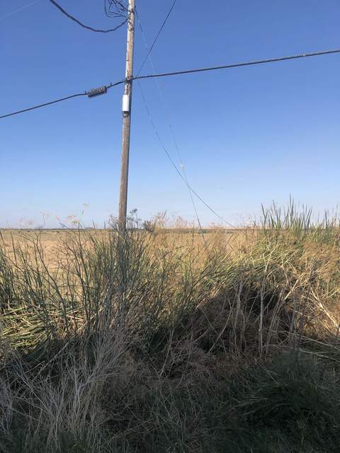 Downed power line that Tyler saw at near the barn at SB. 