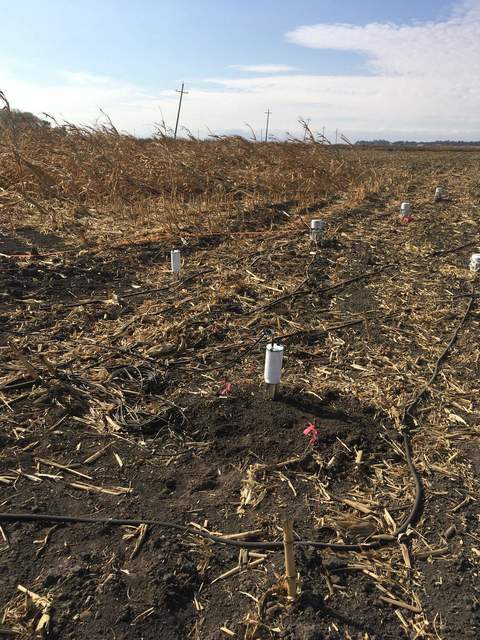 Two eosFD chambers at Bouldin Corn by Tyler