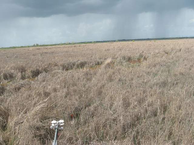 Rain is coming