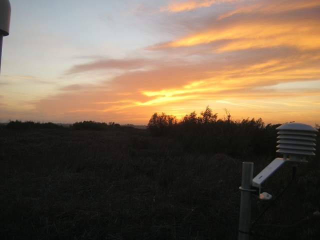 Nice sunset
