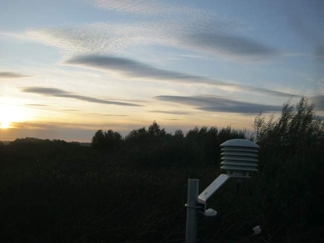 Interesting clouds