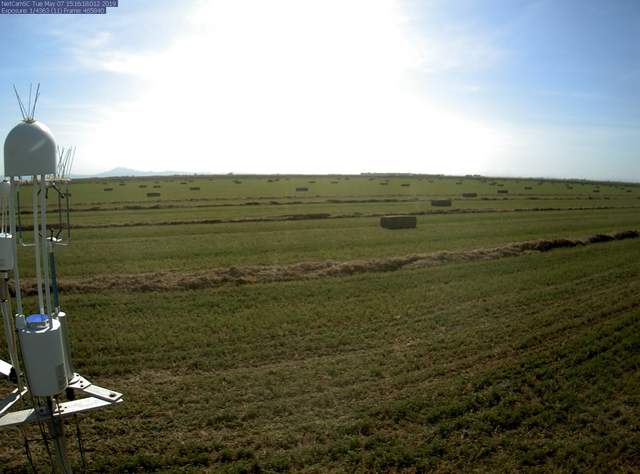 The field getting baled