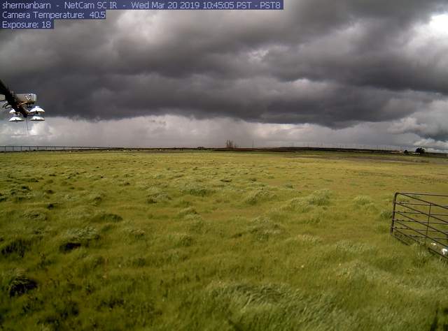 Pretty green grass and dark clouds