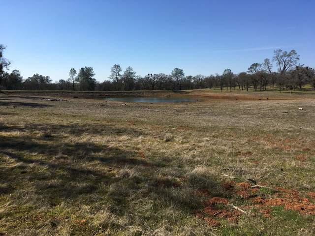 Tonzi pond still low