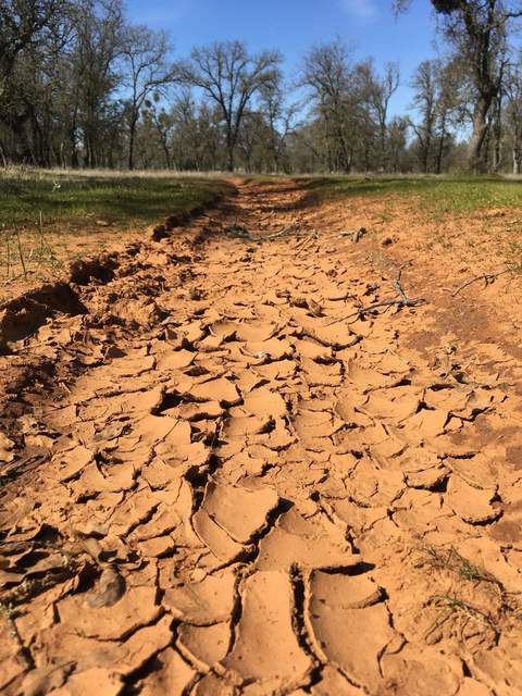 The mud puddles are dry in February