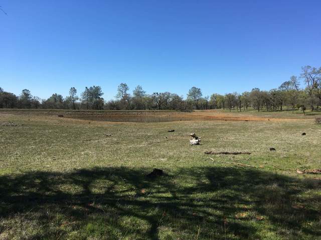 Regular photo of the pond