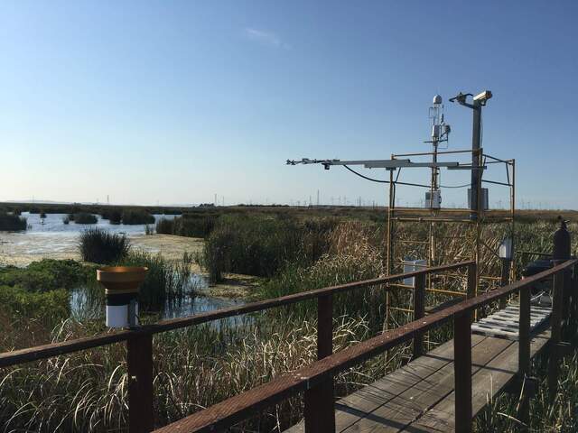 SW tower site is ok after a month.