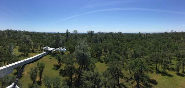 View from tower top