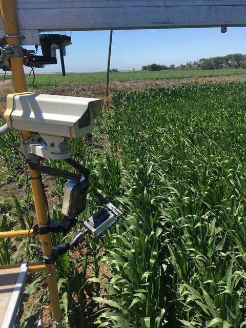 Two new game cameras on the tower, installed by Arable. Hopefully we can access the real-time photos.