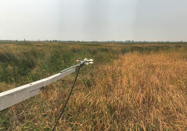 Brown sky, brown wetland. The air quality is terrible today because of wildfires starting earlier this week. 