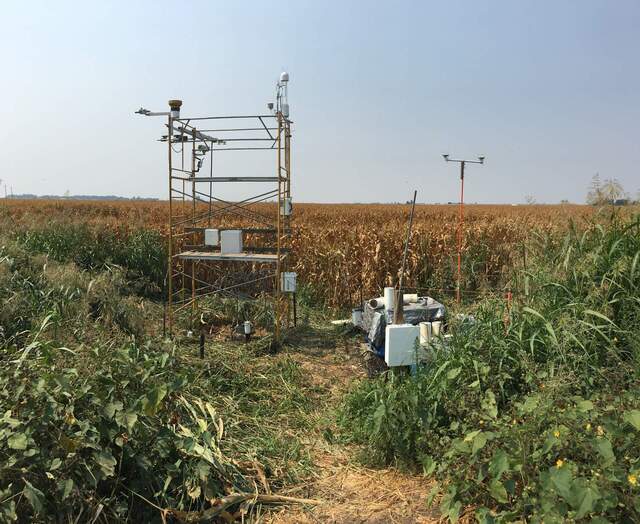 Moved the tower back 3-4m before harvest. It