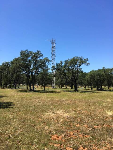 View of the tower from the east
