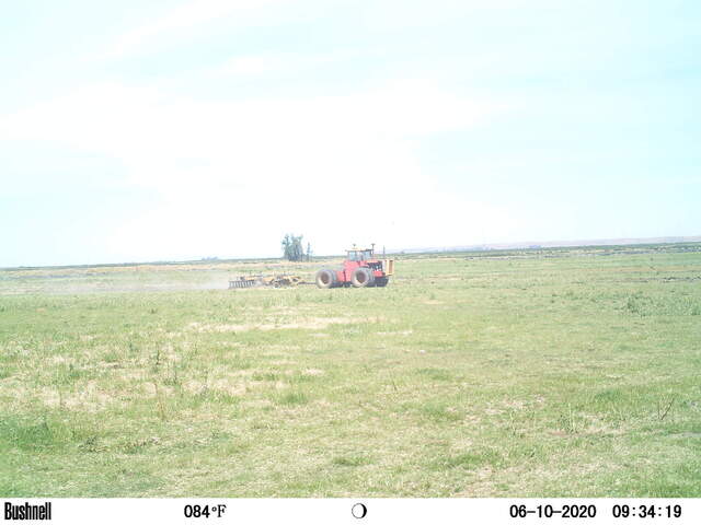 Wetland construction in footprint