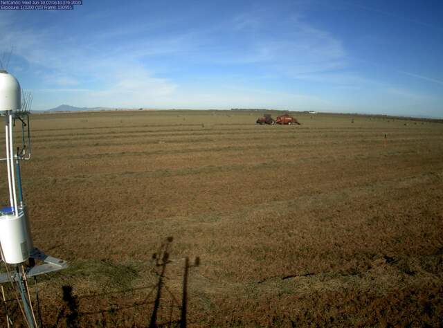 Baling alfalfa