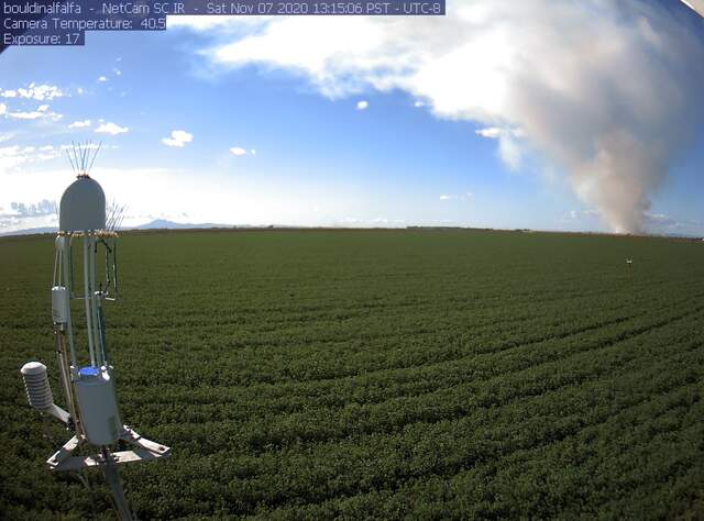 Smoke plume