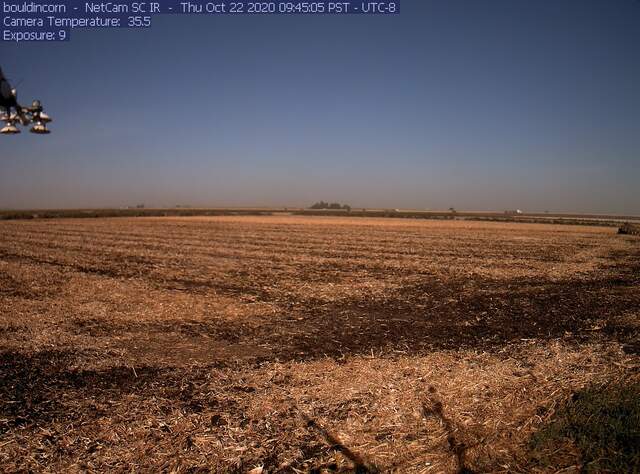 Disking field