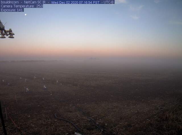 Fog and moonrise at dawn