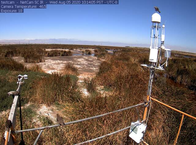 view of field site