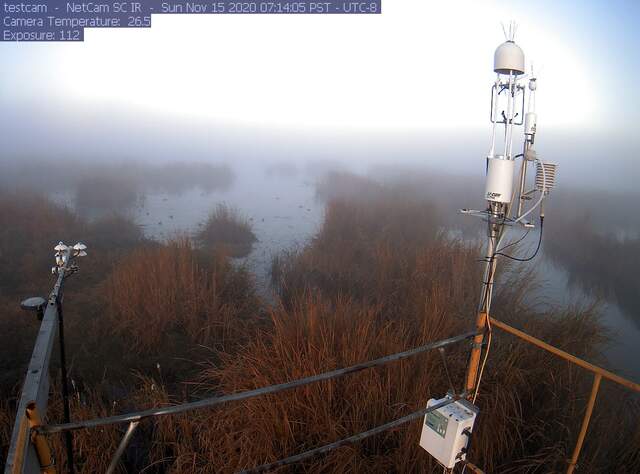 Foggy morning