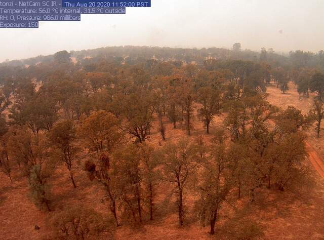Orange skies from wildfire smoke