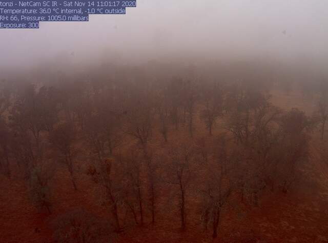 Foggy day