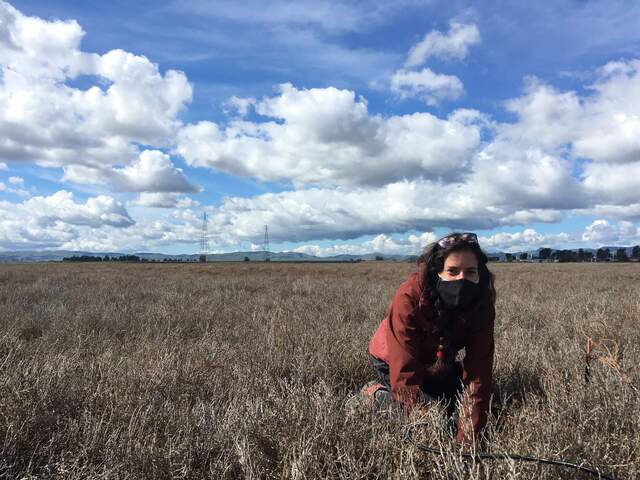 Ariane installing soil sensors for the new site