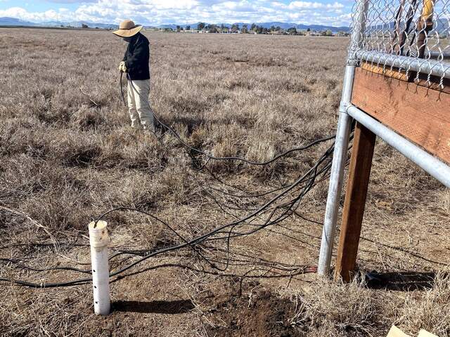 Daphne putting thermocouple wires in split-loom conduit. Well sensor in foreground.