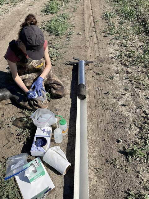 Soil core sampling at the hotspot