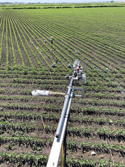 Radiometer inter-comparison and ground sensors in background