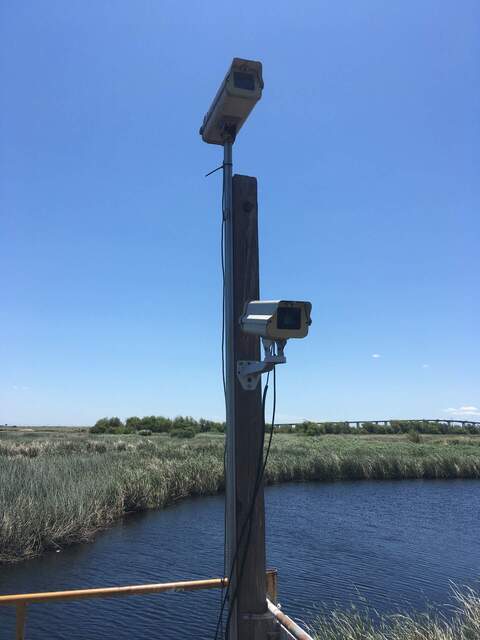 Stardot camera installed below Canon camera for a camera intercomparison with Canon, picam, and Stardot cameras.