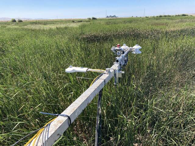 Radiometer inter-comparison begun