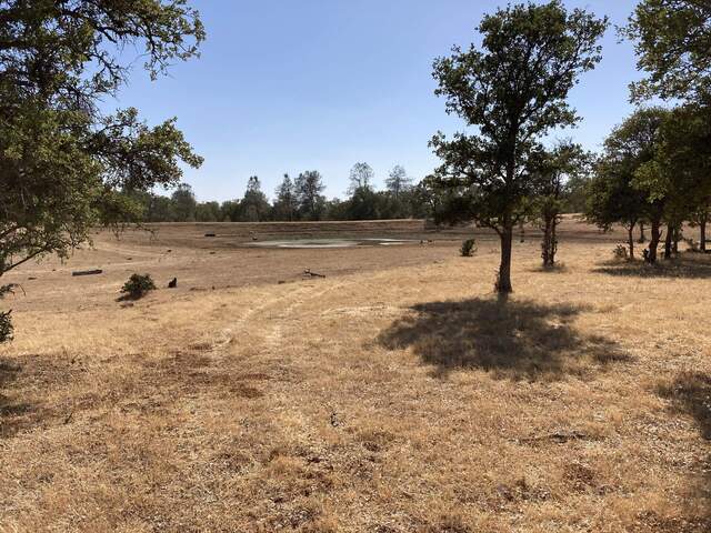 The pond is almost dry