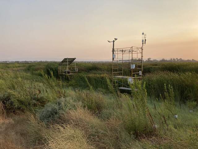View of the new Gilbert Tract site at Dutch Slough