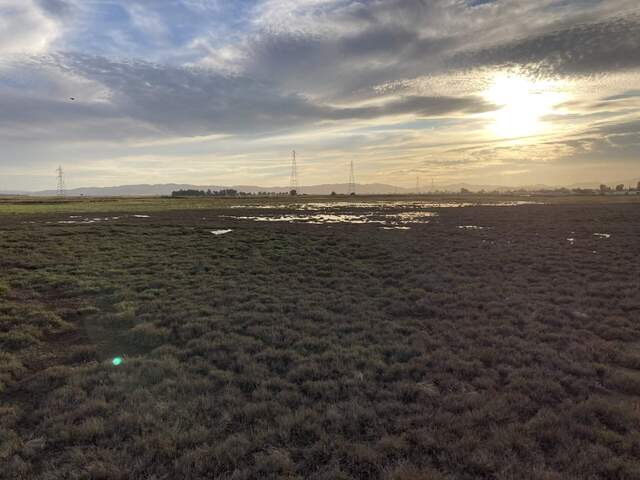 Some standing water from high tide visible in the footprint of the tower.