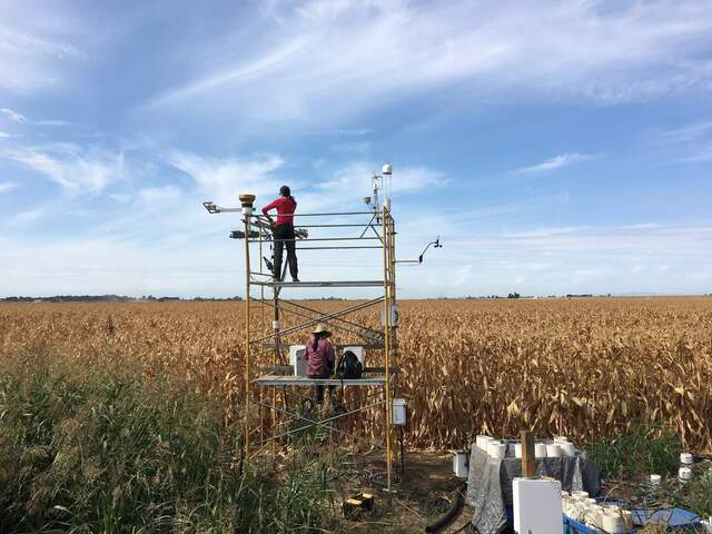 Ari and Daphne servicing the site. Still waiting for corn to be harvested.