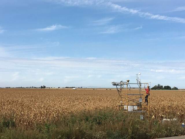 Ari on site and our tower is measuring dry, dry corn