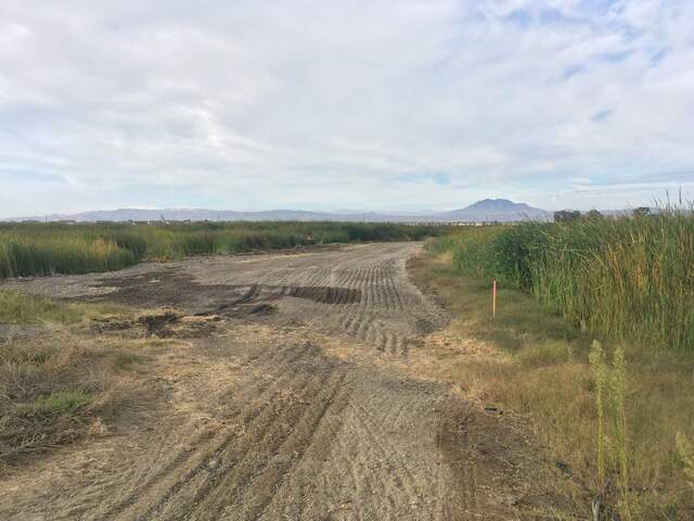 Degraded access berm has wet spots (future mud pits)