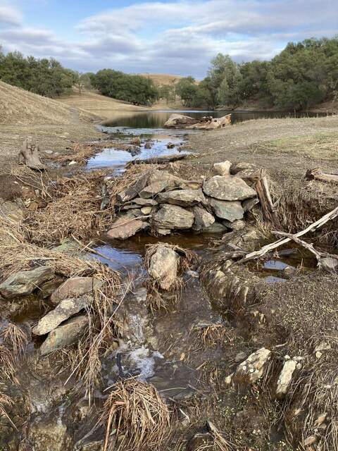 The pond is full to overflowing