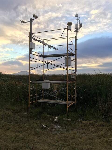 Tower near high tide--need boots to access the scaffolding