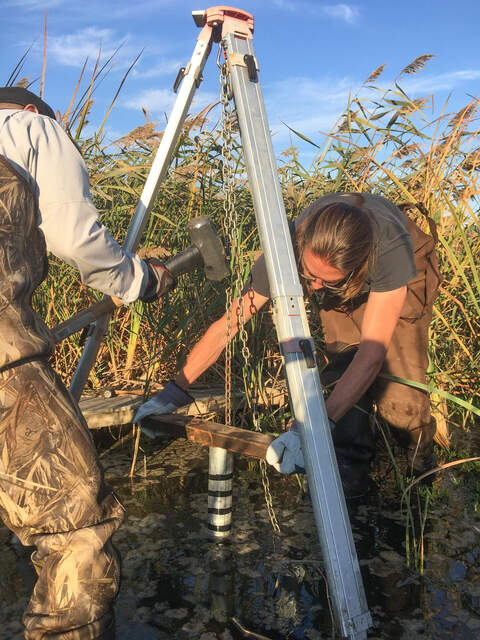 Carlos and Robert sampling a soil core at the hotspot location using the piston coring settup