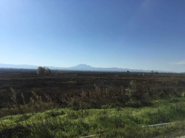 Impounded marsh area on the north side of Gilbert Tract. Ari, Scott, and Mckenna took a soil core down to 130cm in this area. 