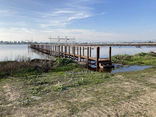 At high tide the water is only about 30cm below the boardwalk